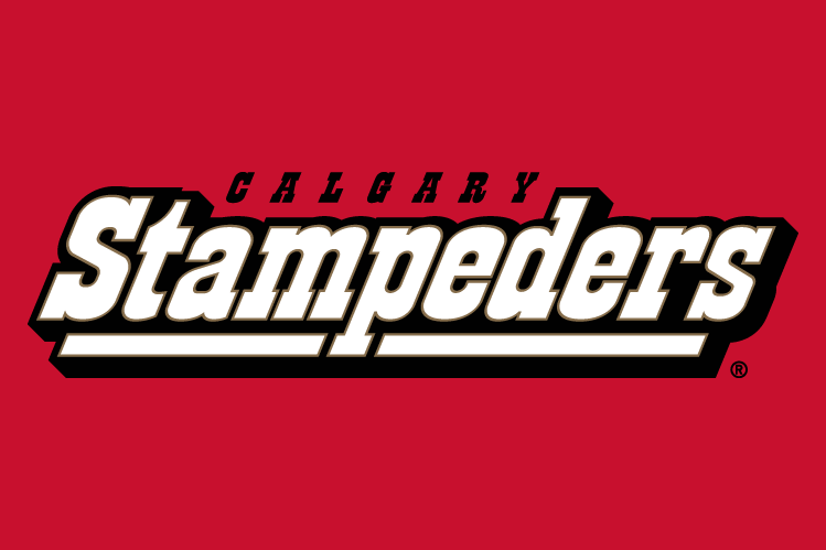 calgary stampeders 2000-2011 wordmark logo v3 iron on transfers for T-shirts